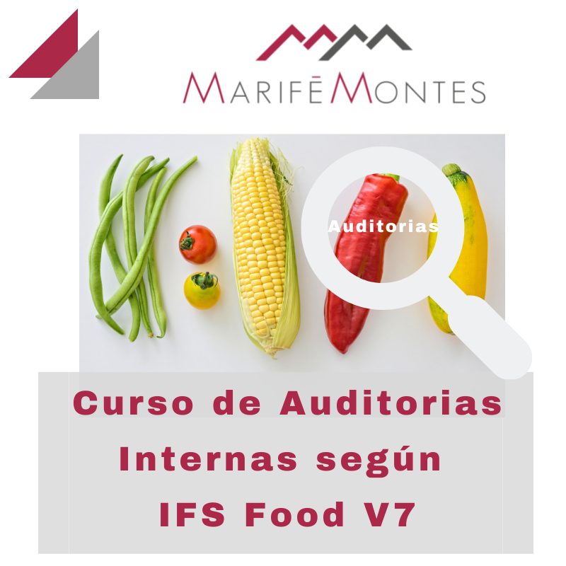 auditorias-internas-ifs-v7