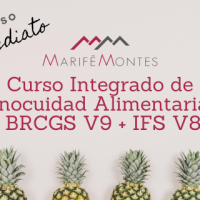 curso integrado BRCGS e IFS
