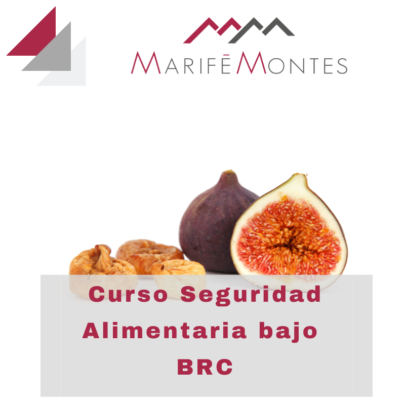 curso BRCGS food versión 9