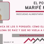 los 5 Porqués
