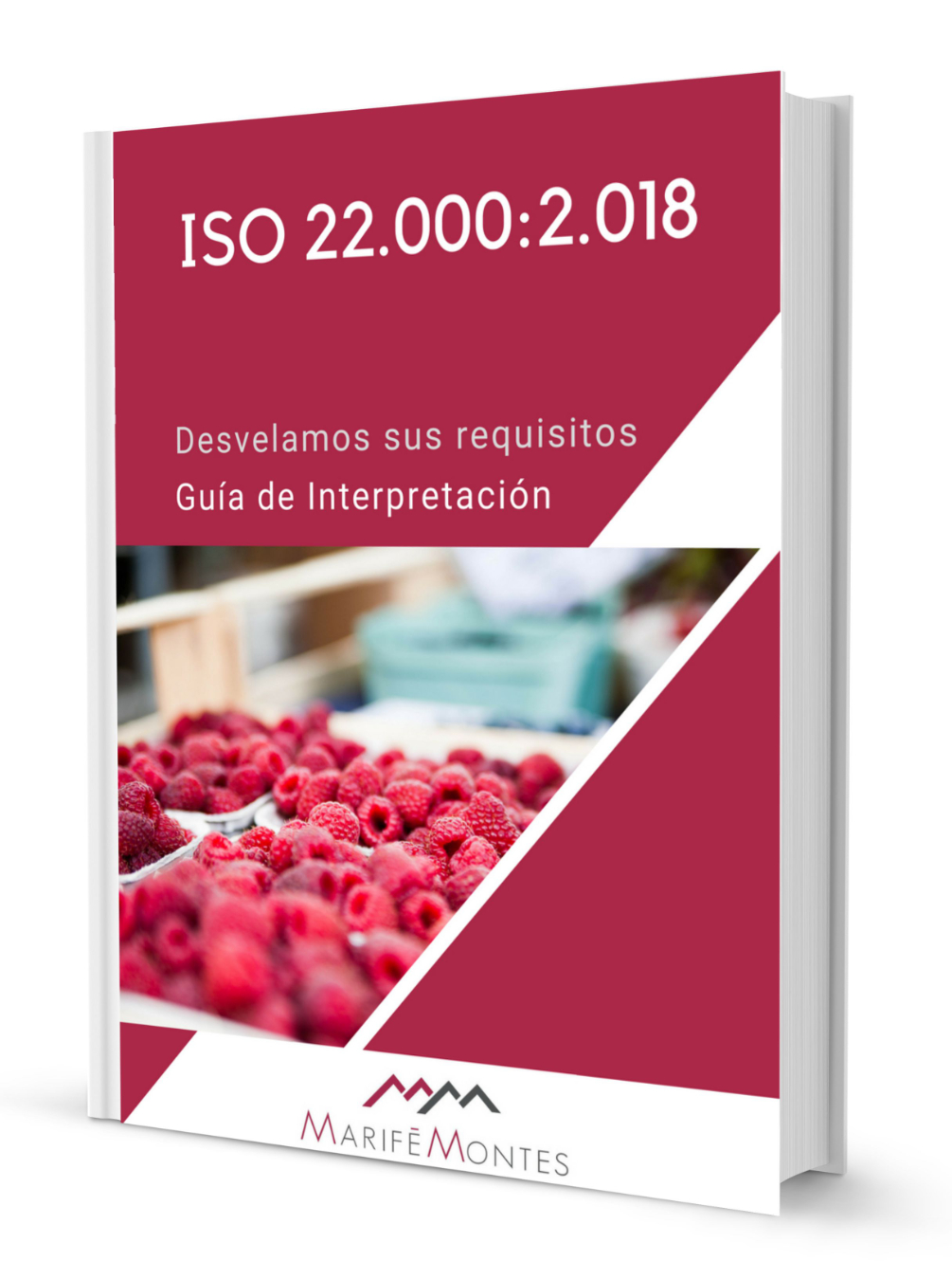 portada-libro-iso-22